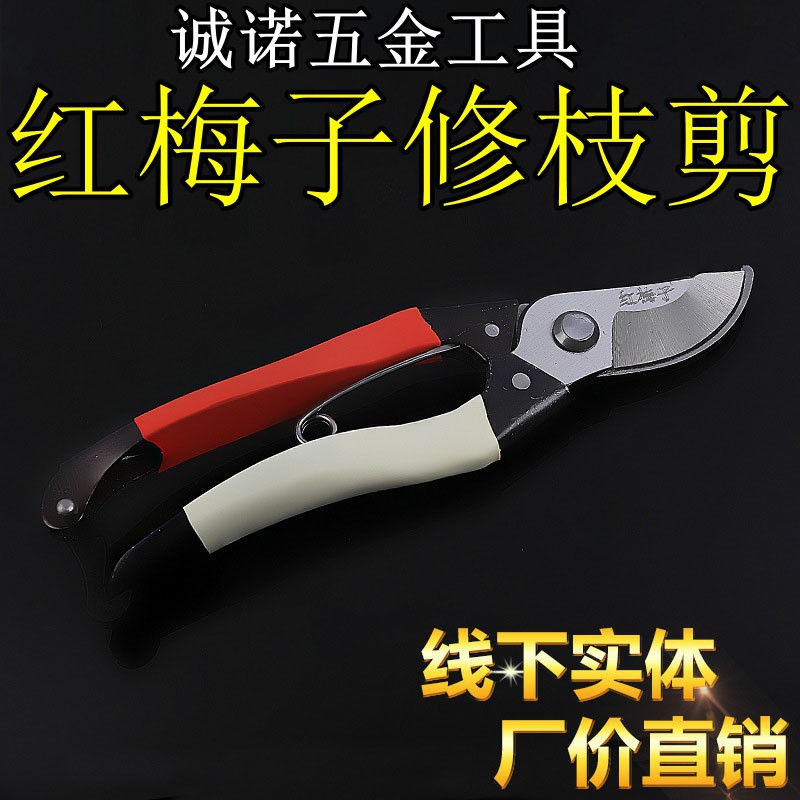 Red Plum Seeds Gardening Shears Garden Pruning Shears Gardening Scissors Gardening Scissor Flower Tw