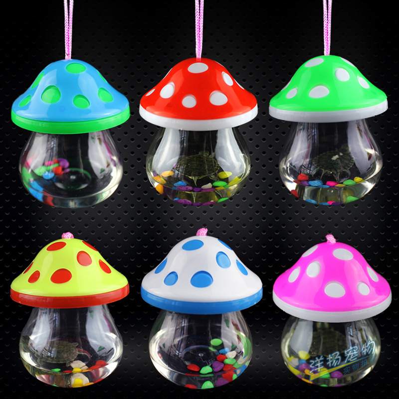 Turtle Box Plastic Trumpet PET Box Transparent Fish Globe Po...