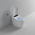 Smart Toilet Household Waterless Pressure Limit Integrated Automatic Design Electric Instant Toilet with Water Tank