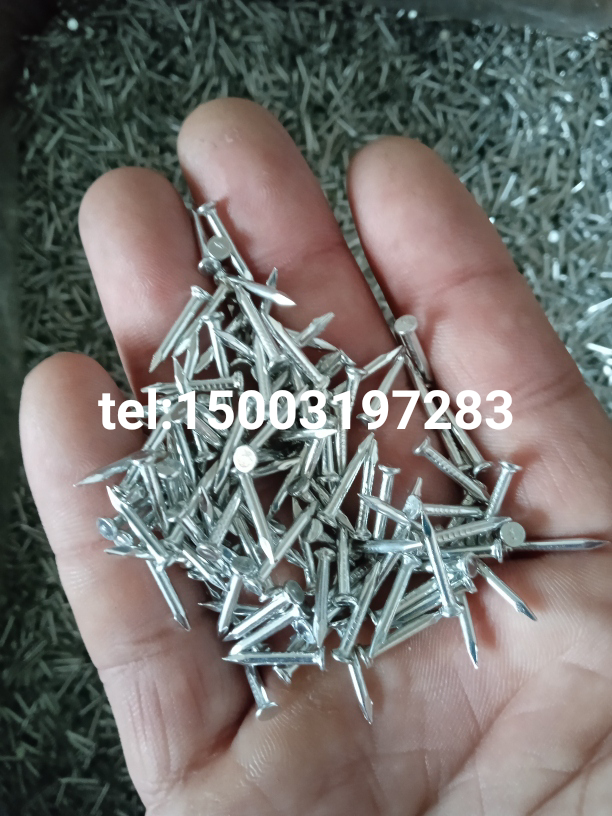 high quality concrete nails for making cable clips