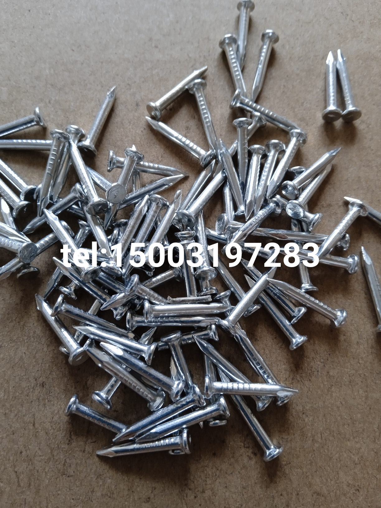 high quality concrete nails for making cable clips