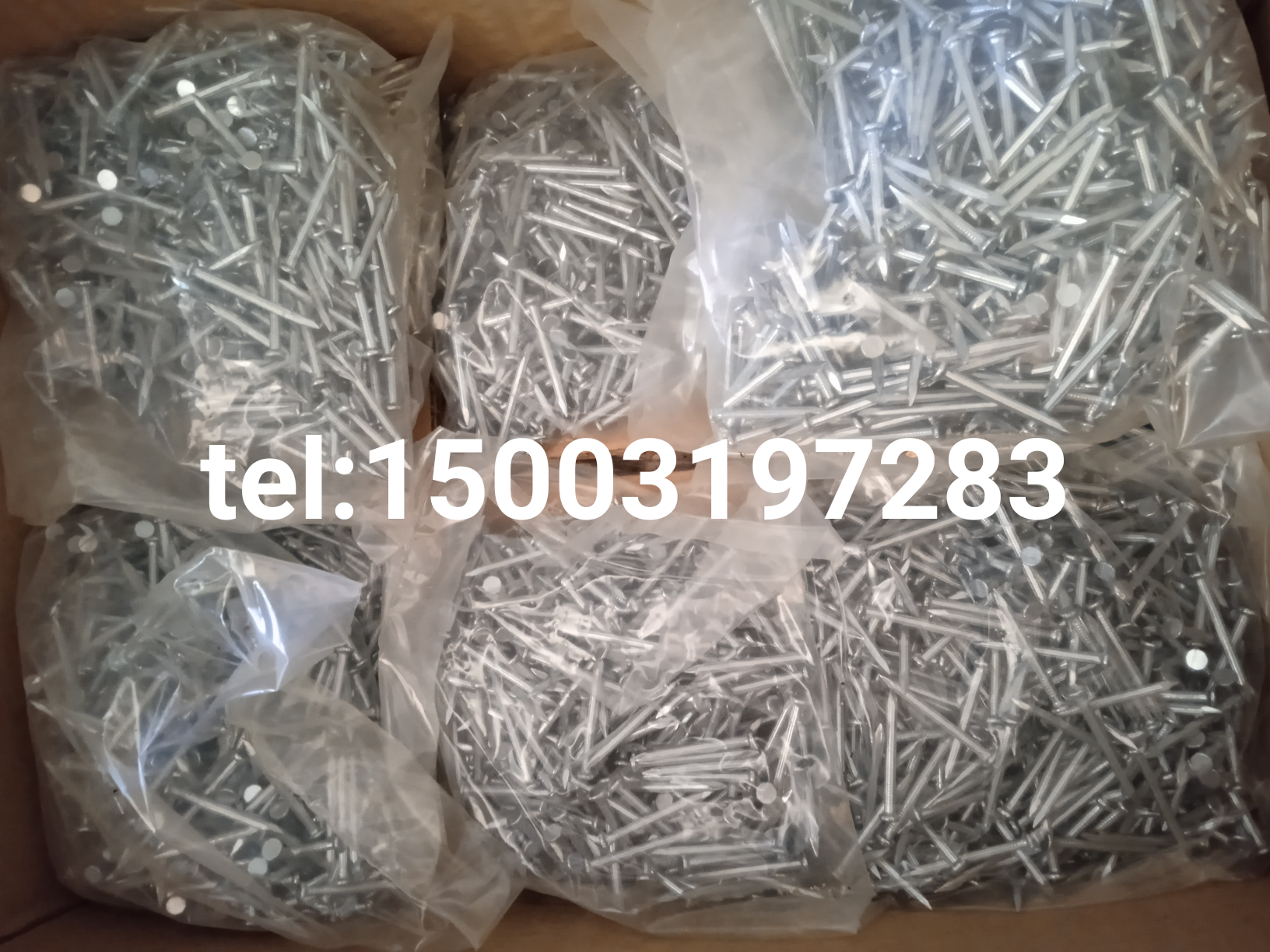 common wire nail concrete nails iron nail wood nail steel nail galvanised steel nail harden steel nail export Africa