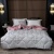 2021 New Warm Two Colors Single Double Autumn and Winter Refined Imitation Duvet