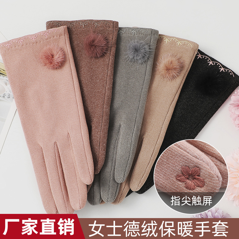 Autumn and Winter New De Velvet Gloves Women's Fashionable Warm Fresh Cute Embroidered Touch Sc