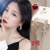 European and American Personalized Exaggerated Big Hoop Earrings Women's Long Graceful Online Influencer Sexy 925 Earrin