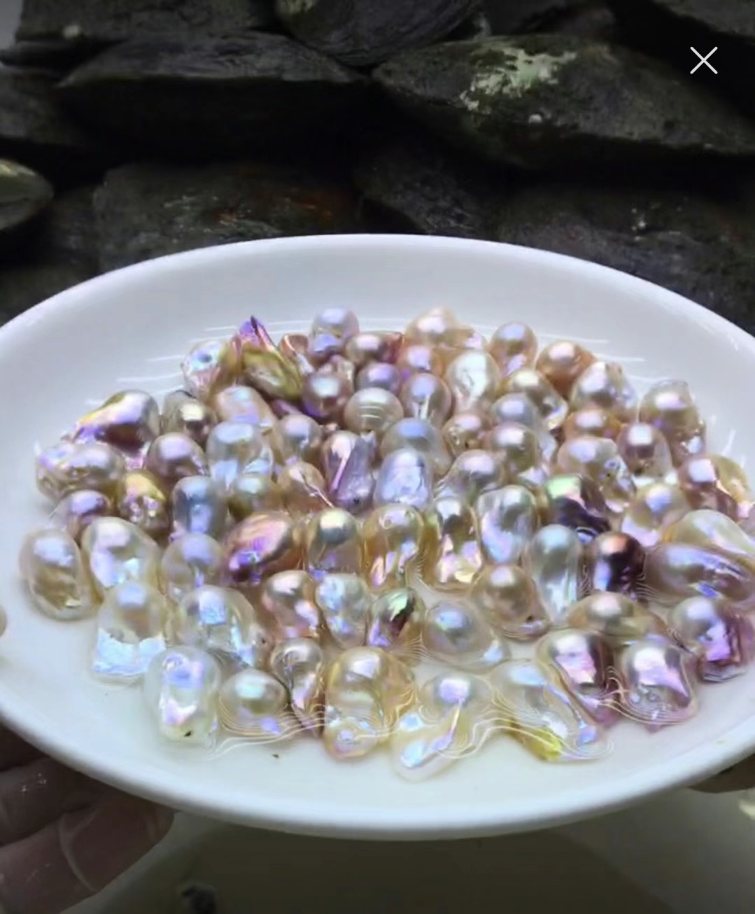 珍珠养殖场产地直销珍珠多珠蚌单珠蚌大巴洛克珍珠蚌开蚌直播_诸暨市