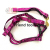 Pet Chain Popular English Letters Bandana Hand Holding Rope Source Factory