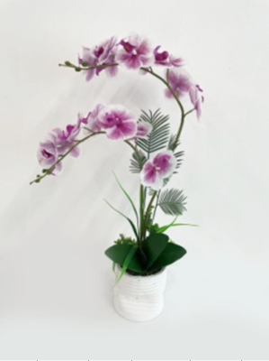 0268 Factory Direct Sales New Simulation Phalaenopsis Potted Wedding Photography Shooting Furnishings and Props