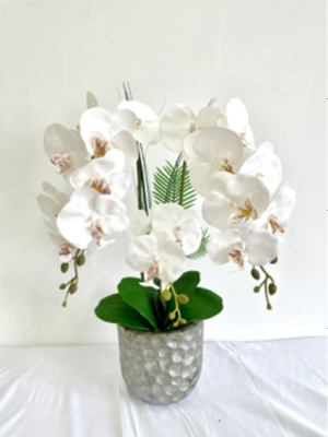 2021 New Artificial Phalaenopsis Bonsai Fake Flower Ceramic Potted Plant Decoration Overall Floral Dining Table Furnishings and Props