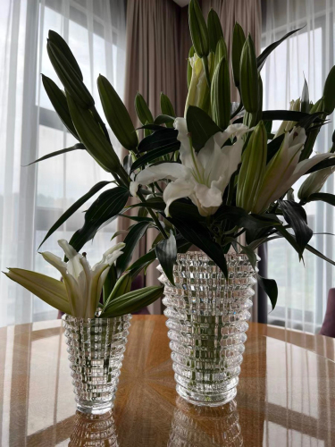 chuguang glass bacala crystal glass vase home decoration transparent vase flower arrangement hydroponics