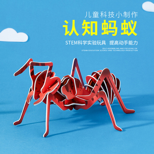 Children‘s Science Experiment Toys Elementary School Students‘ Science and Education Teaching Aids Technology Small Production Invention Handmade Insect Model Ant