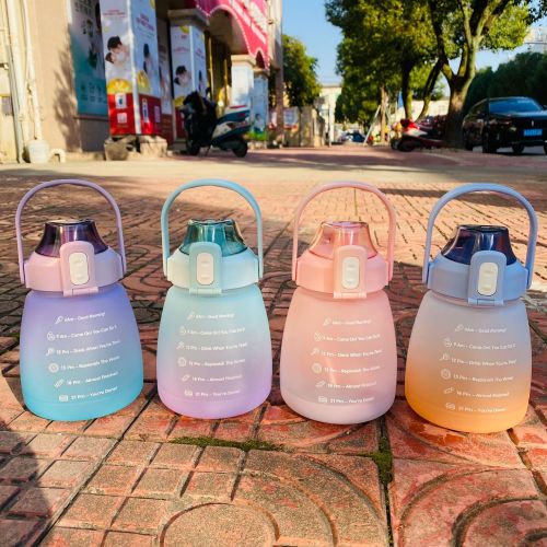 portable big belly water cup female large capacity student plastic cup portable cute straw cup frosted can back big kettle