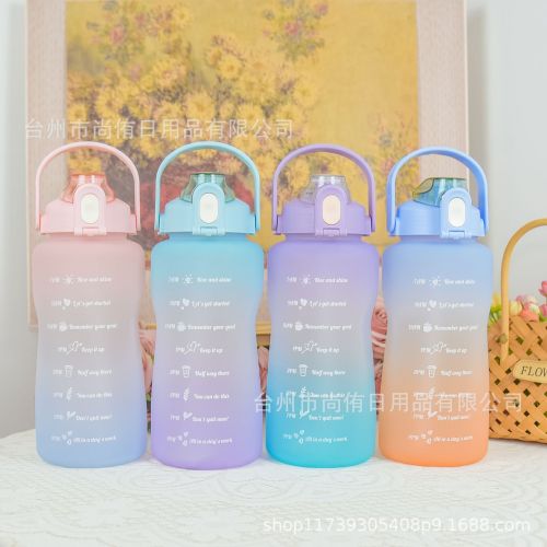 L Macaron Frosted Gradient Color Large Capacity Sports Water Bottle Female Summer Internet Celebrity Plastic Straw Water Cup 1.5L