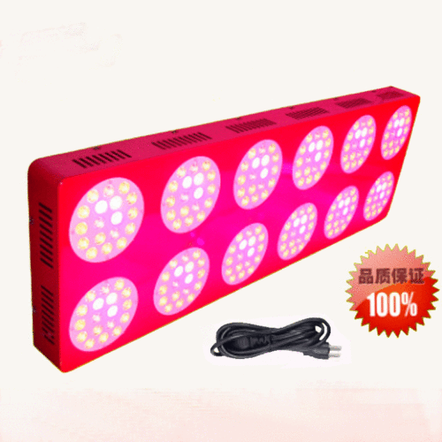 european and american hot-selling led plant growth lamp 226*3w greenhouse plant fill light straw lamp