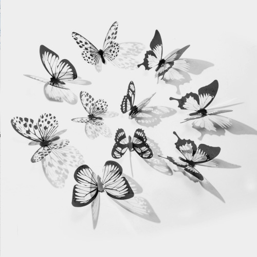 3D Butterfly Black and White 18 PCs Simulation Butterfly Wall Stickers Bedroom Decoration Stickers Butterfly