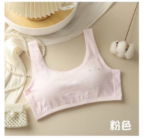 developing girls cotton underwear primary school junior high school students anti-exposure back breasted wrapped chest adolescent tube top vest