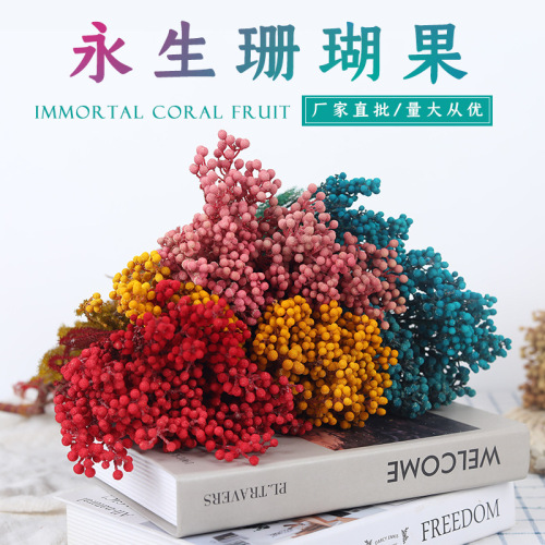 Ins Immortal Coral Fruit Multi-Color Handmade DIY Creative Glass Cover Flower Box Flower Material Yunnan Fresh Bouquet Wholesale