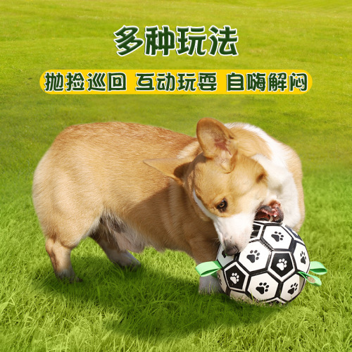 Amazon Popular Multi-Functional Interactive Rope Dog Football Dog Toy Pet Supplies Dog spherical Toys Outdoor 