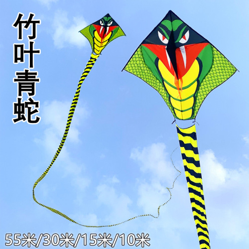 weifang kite wholesale bamboo leaf green snake 10/15/30/55 m rge long tail adult rge kite triangle kite