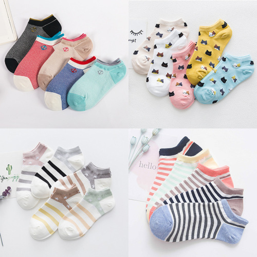 spring/summer socks women‘s boat socks japanese cartoon candy color women‘s socks 200 needles cotton low top socks factory wholesale