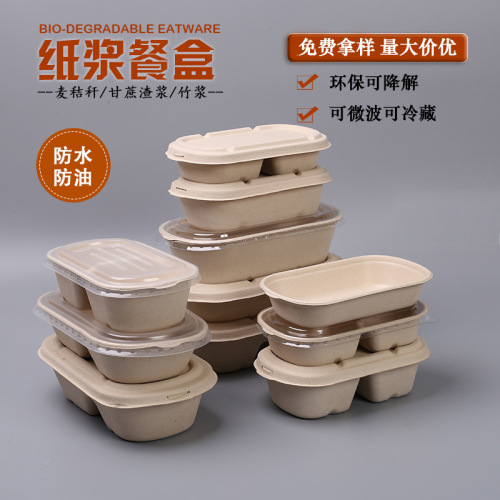 Degradable Disposable Lunch Box Takeaway Packing Box Fast Food Fitness Fruit Packing Box Pulp Single and Double Grid Salad Box 