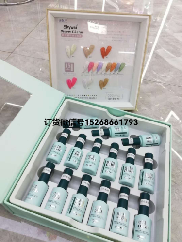 popular color small set series japanese nail polish glue