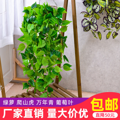 Artificial Plant Rattan Vine Green Plant Wall Ornaments Living Room Interior Chlorophytum Decorative Wall Hangings Hanging Basket Green Leaves