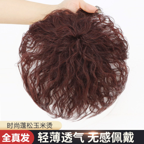 Factory Direct Supply Real Hair Hair Supplementing Piece Female Cover Gray Hair Wig Set Real Hair Top Hairpiece Fluffy Short Curly Hair