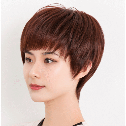 Wig Head Cover Women‘s Short Hair Real Hair Women‘s Middle-Aged Mom Wig Human Hair Fluffy Full-Head Wig in Stock