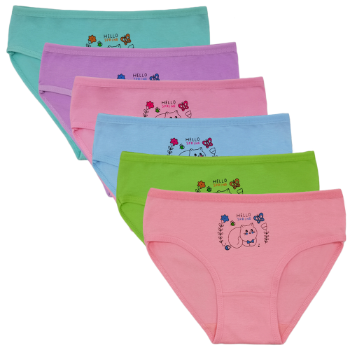 Foreign Trade Girls‘ Underwear Printing Cartoon Little Girl Triangle shorts Medium and Large Children‘s Underwear Factory Wholesale