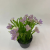 Artificial Green Plant Artificial Flower Phalaenopsis Home Decoration Miniature Bonsai