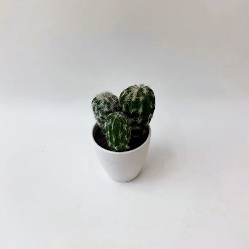 simulation succulent pu material cactus home decoration simulation small bonsai
