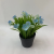 Artificial Green Plant Artificial Flower Phalaenopsis Home Decoration Miniature Bonsai