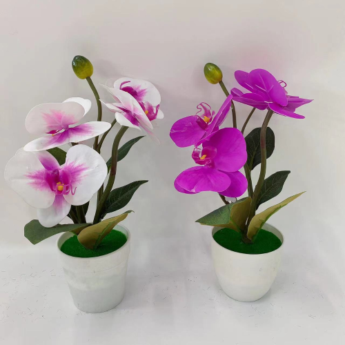 Artificial Phalaenopsis Home Decoration Miniature Bonsai White Plastic Basin
