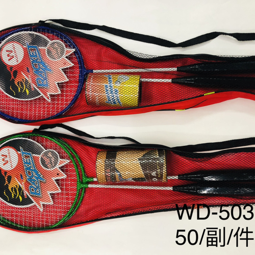 Invincible God WD-503 Ferroalloy with Ball Split Badminton Racket