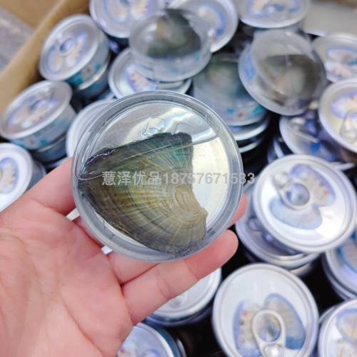 Vacuum Packaging Can Pearl Mussel mussel Canned Necklace Gift Box Set Bag Wholesale Stall Open Mussel