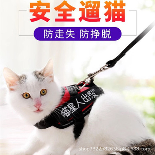 Cat Traction Rope Pet Traction Rope Anti-Breaking Cat Chest Strap Cat Special Factory Wholesale Summer Cat Walking Rope