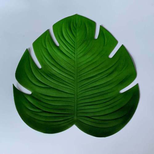 Wide Turtle Leaf Placemat