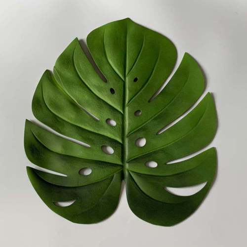 Hole Turtle Leaf Green Simulation Eva Placemat