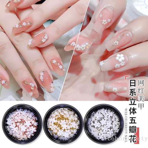 Internet Celebrity New Japanese Ins Style Mini Resin Five-Petal Flower Small White Flower Three-Dimensional Fingertip Disc Nail Jewelry