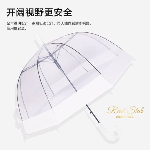 Rst3466a Color Edge Arch Umbrella Apollo Fully Transparent Umbrella Wholesale